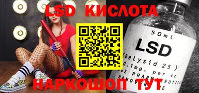 шишки Лесосибирск