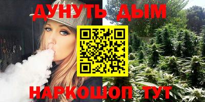 шишки Лесосибирск