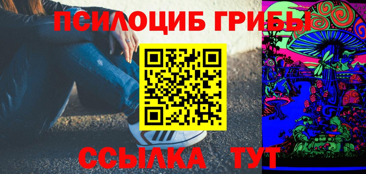 Псилоцибиновые грибы мухоморы  Вход с VPN  где купить наркоту  Егорьевск 