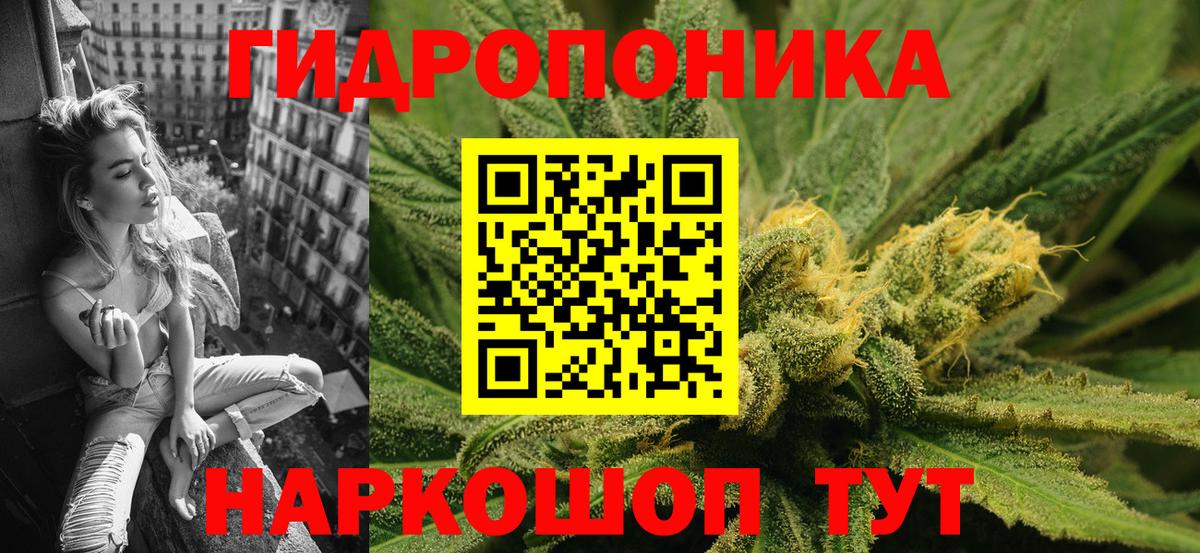 Бошки марихуана гибрид  Вход с VPN  Шишки марихуана Amnesia  Шишки марихуана Amnesia  Каннабис Amnesia  Егорьевск 